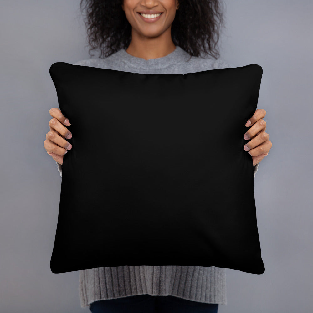 Chicago Pillow